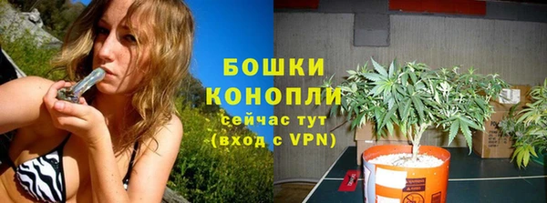 мдпв Кулебаки