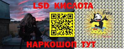 тгк Канаш