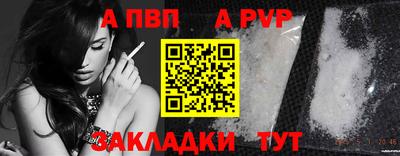 тгк Канаш