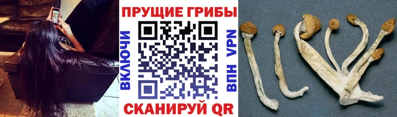 Галлюциногенные грибы мухоморы дарнет шоп Кудымкар