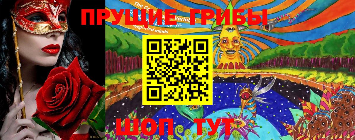 Псилоцибиновые грибы мицелий Кудымкар
